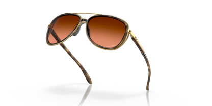 Brown Tortoise - 0OO4129 888392489494