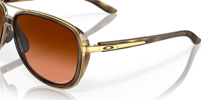 Brown Tortoise - 0OO4129 888392489494