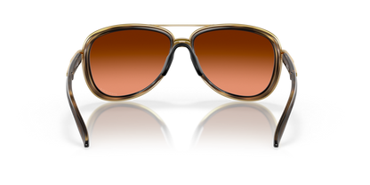Brown Tortoise - 0OO4129 888392489494