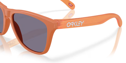 Oakley OO9013 Frogskins