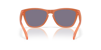 Oakley OO9013 Frogskins