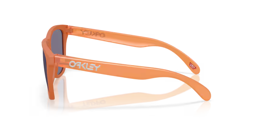 Oakley OO9013 Frogskins