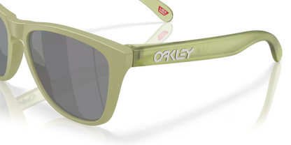 Oakley OO9013 Frogskins