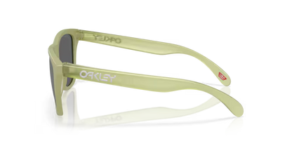 Oakley OO9013 Frogskins