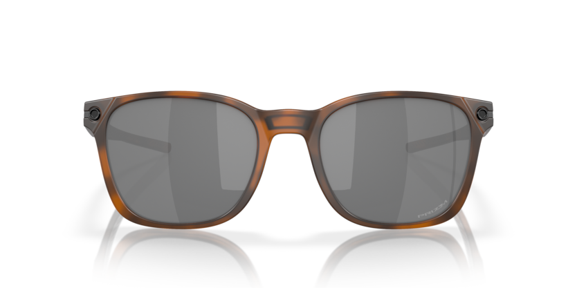 Matte Brown Tortoise