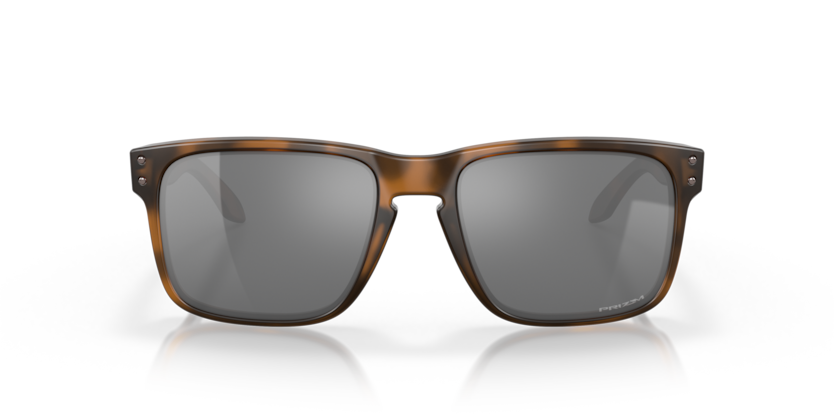 Matte Brown Tortoise