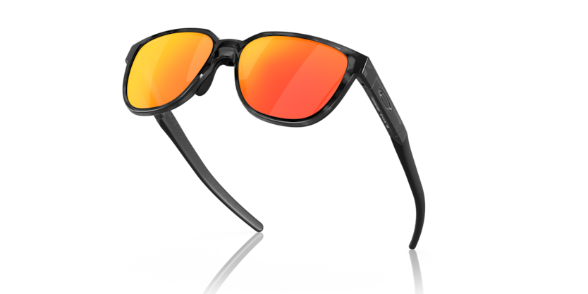 Brown Tortoise - 0OO9250 888392602923