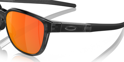 Brown Tortoise - 0OO9250 888392602923