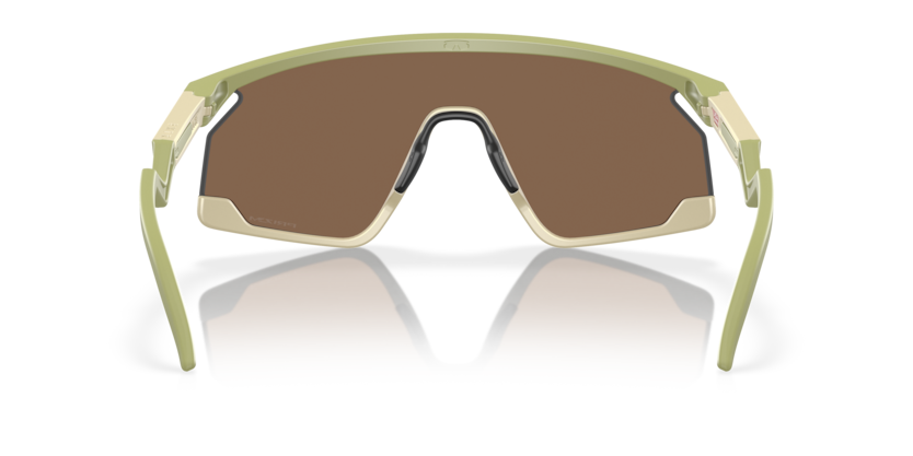 Matte Fern - 0OO9280 888392618191