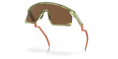 Transparent Fern - 0OO9280 888392619686