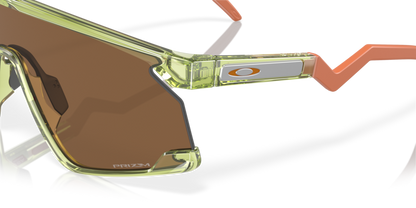 Transparent Fern - 0OO9280 888392619686