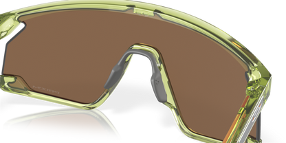 Transparent Fern - 0OO9280 888392619686