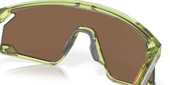 0OO9280 - Oakley - (Transparent Fern) Prizm Bronze - 39 - 139 - 139 MM - Ardor Eyewear 888392619686