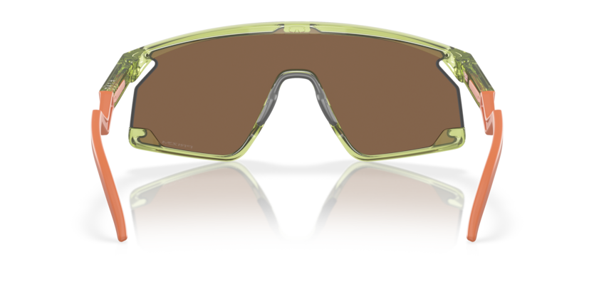 Transparent Fern - 0OO9280 888392619686