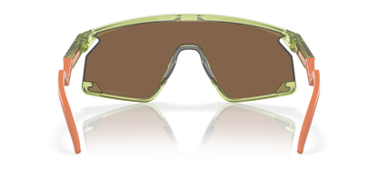 Transparent Fern - 0OO9280 888392619686