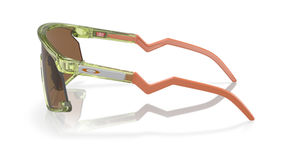 Transparent Fern - 0OO9280 888392619686