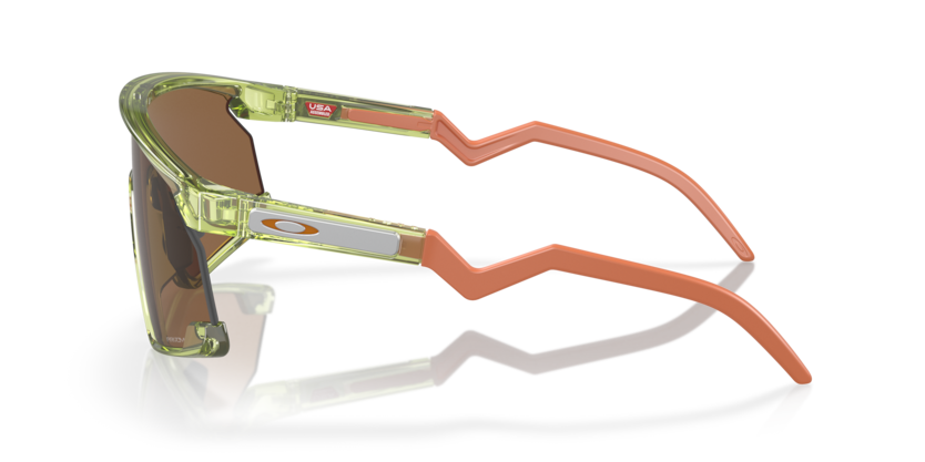 Transparent Fern - 0OO9280 888392619686