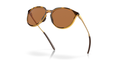 Polished Brown Tortoise - 0OO9288 888392612038