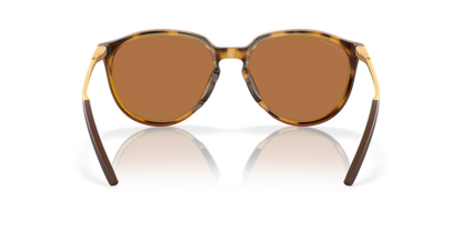 Polished Brown Tortoise - 0OO9288 888392612038