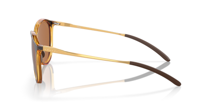 Polished Brown Tortoise - 0OO9288 888392612038