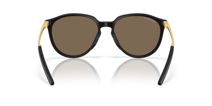 Matt Ginger Tortoise - 0OO9288 888392638878