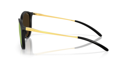 Matt Ginger Tortoise - 0OO9288 888392638878