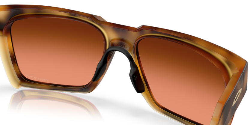 Polished Brown Tortoise