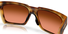 Polished Brown Tortoise