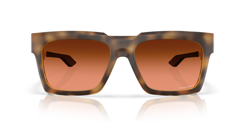 Polished Brown Tortoise