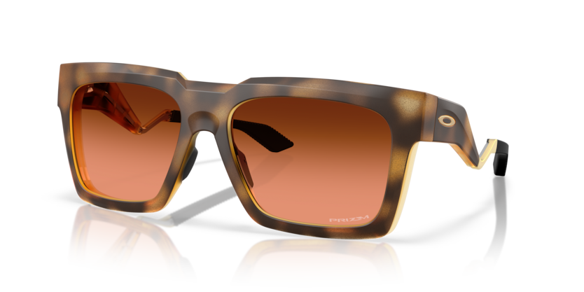 Polished Brown Tortoise