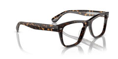 0OV5393U - Oliver Peoples - Tortoise - (362 1009) - 51 - 19 - 145 MM - Ardor Eyewear 827934499911