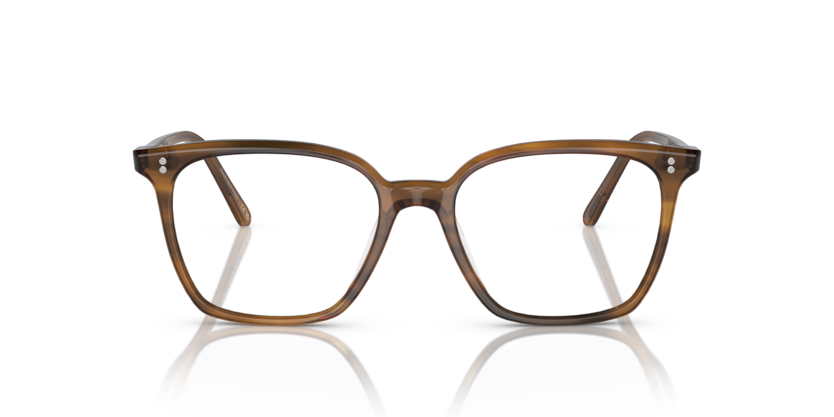 0OV5488U - Oliver Peoples - Brown - (Raintree 1011) - 50 - 17 - 145 MM - Ardor Eyewear 827934505650