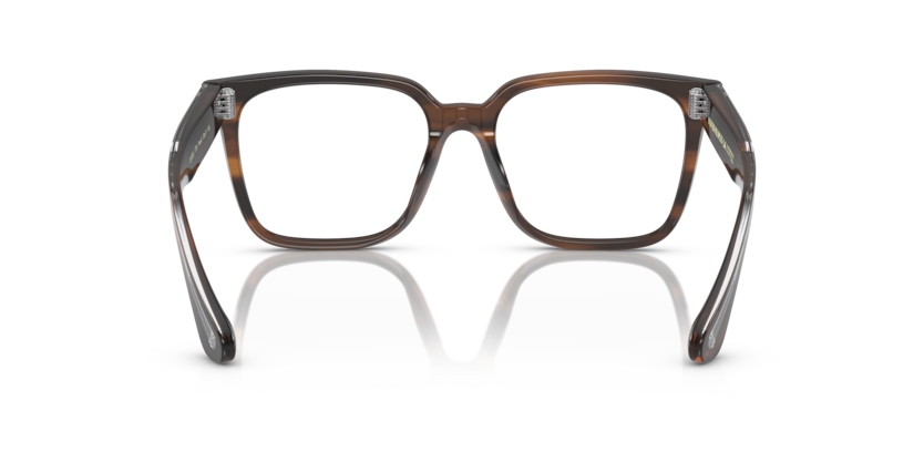 Tuscany Tortoise - 0OV5502U 827934482203