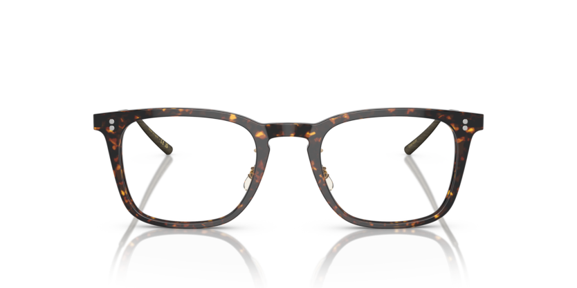 Atago Tortoise - 0OV5543 827934501713