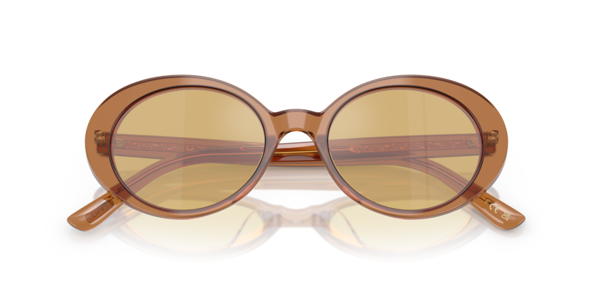 Carob - 0OV5565SU 827934506305 Oliver Peoples Sunglasses Woman Oval