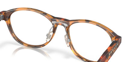 Matt Ginger Tortoise - 0OX8057 888392647399