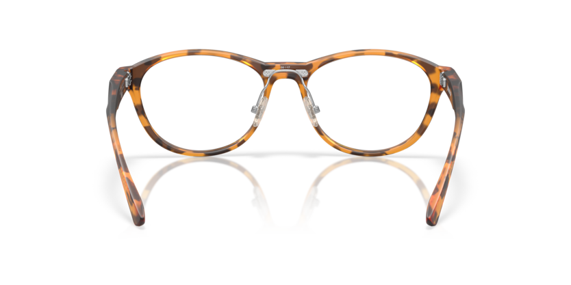 Matt Ginger Tortoise - 0OX8057 888392647399