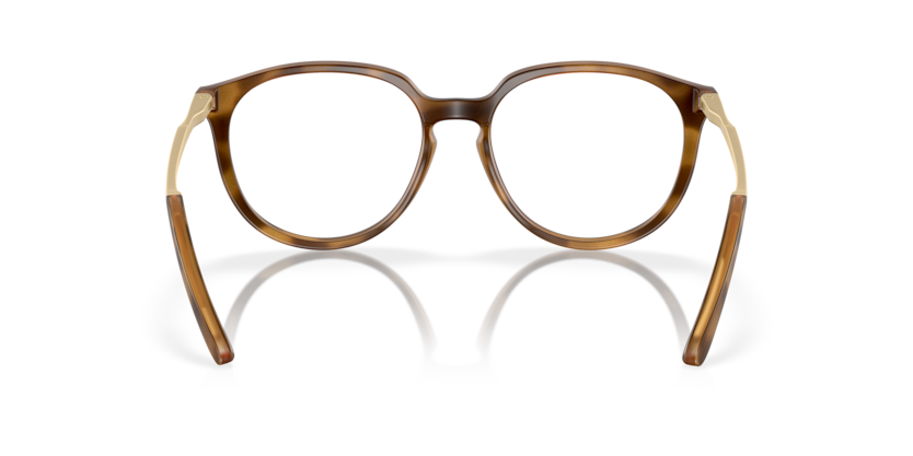 Satin Brown Tortoise - 0OX8150 888392613264