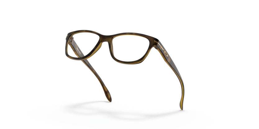 Satin Brown Tortoise - 0OY8019 888392559524