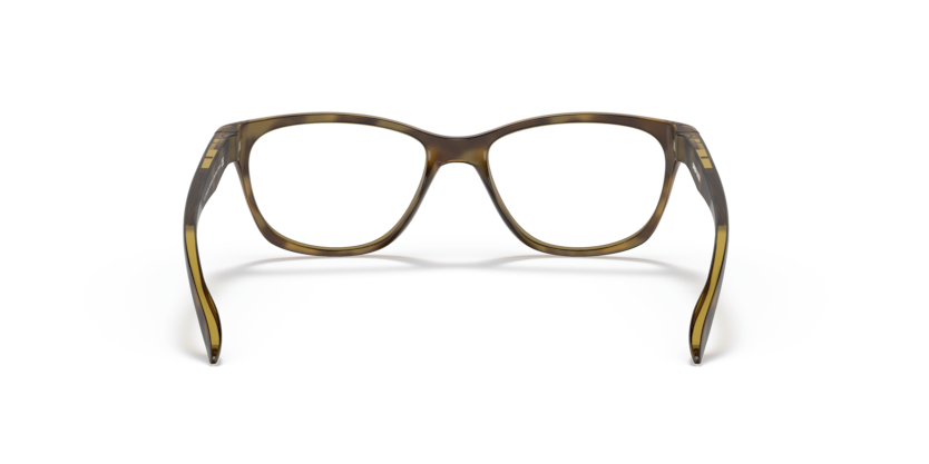 Satin Brown Tortoise - 0OY8019 888392559524