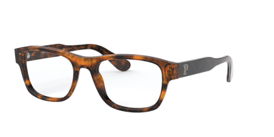  0PH2213 - Glasses -  Polo Ralph Lauren -  Ardor Eyewear