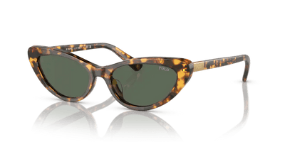  0PH4199U - Sunglasses -  Polo Ralph Lauren -  Ardor Eyewear