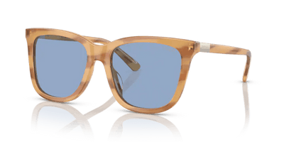  0PH4201U - Sunglasses -  Polo Ralph Lauren -  Ardor Eyewear