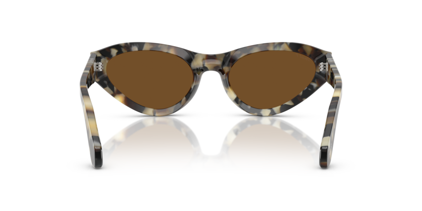 Brown Tortoise - 0PO0052S 8056262257227 Persol Sunglasses Woman Butterfly