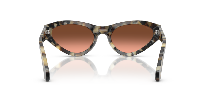 Brown Tortoise - 0PO0052S 8056262257234 Persol Sunglasses Woman Butterfly