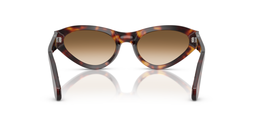 Havana - 0PO0052S 8056262257241 Persol Sunglasses Woman Butterfly