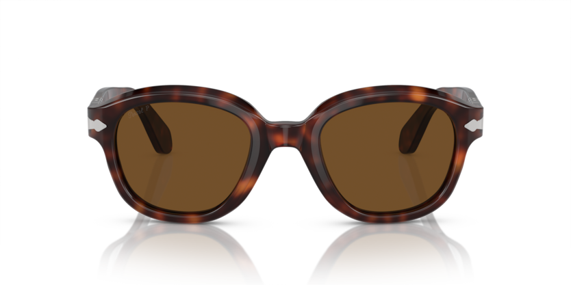 0PO0060S - Persol - (Havana) Polarized Brown - 50 - 23 - 145 MM - Ardor Eyewear 8056262080733