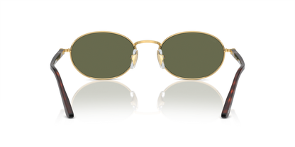 Gold - 0PO1018S 8056597985659