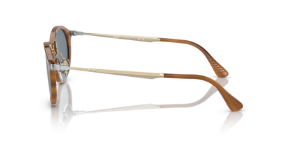 Striped Brown - 0PO3166S 8053672666373