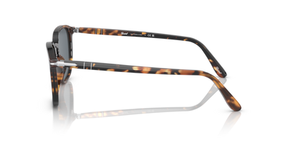 Brown - 0PO3186S 8053672982275